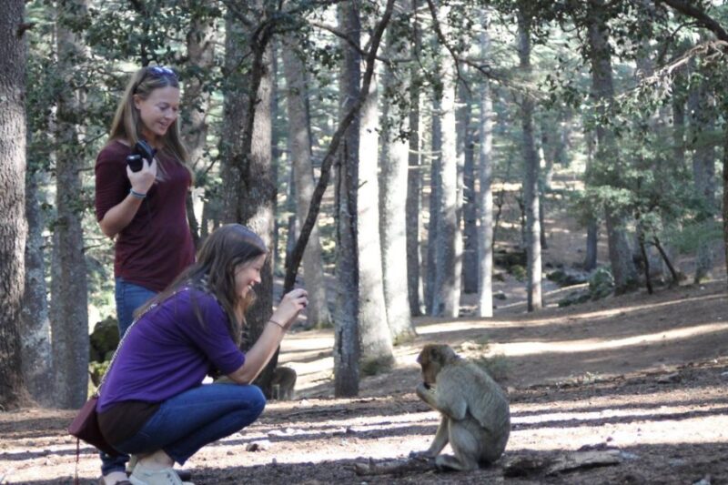 From Fez: Middle Atlas Day Trip With Ifrane National Park - Good To Know