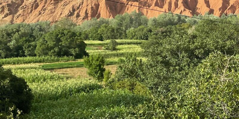 From Fez: Privat Tour 3-Day To Marrakech Via-Desert Merzouga - Scenic Drive Through Dades Valley