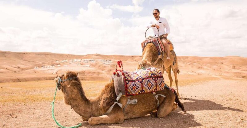 From Fez: Sahred 3 Days and 2 Nights to Marrakech - Experiences and Activities