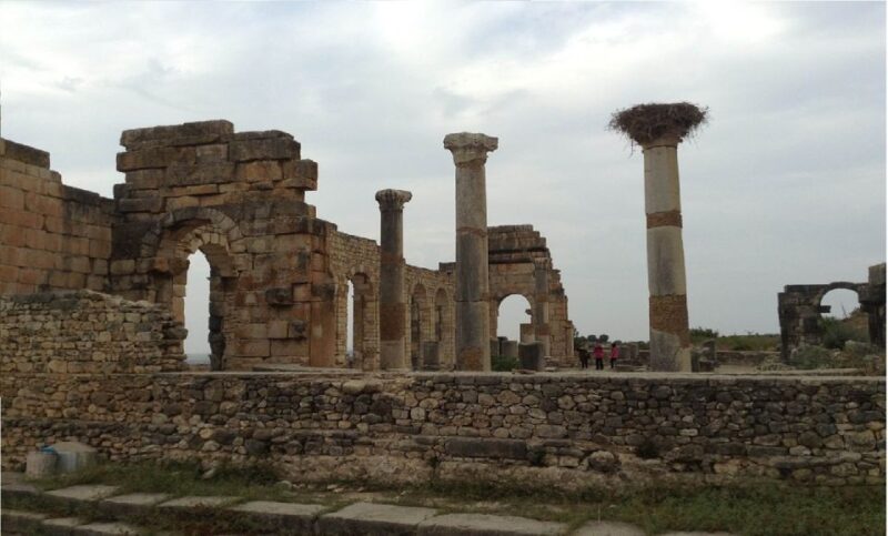 From Fez: Volubilis Moulay Idriss & Meknes Full-Day Trip - Positive Customer Feedback