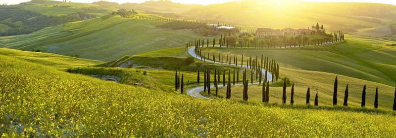 From Firenze | Chianti day trip in a classic car - A Detailed Look at the Experience