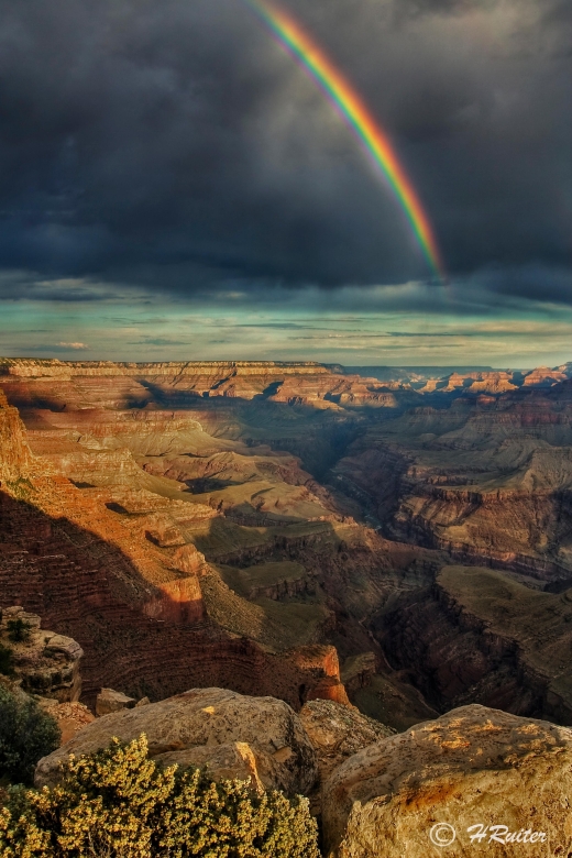From Flagstaff: Private Grand Canyon National Park Tour - Up-Close Views With Spotting Scope