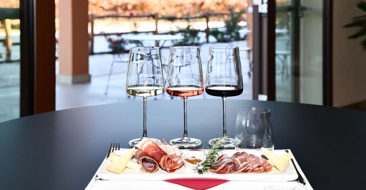 From Florence: Bolgheri Full Day Wine Tour - Key Points