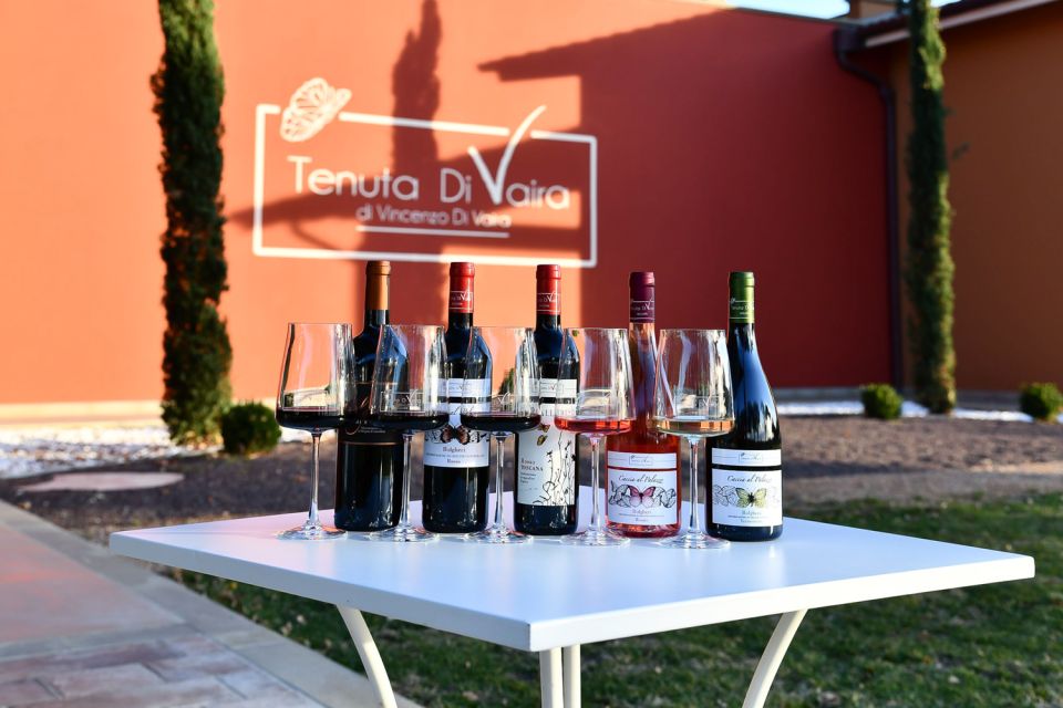 From Florence: Bolgheri Full Day Wine Tour - Highlights