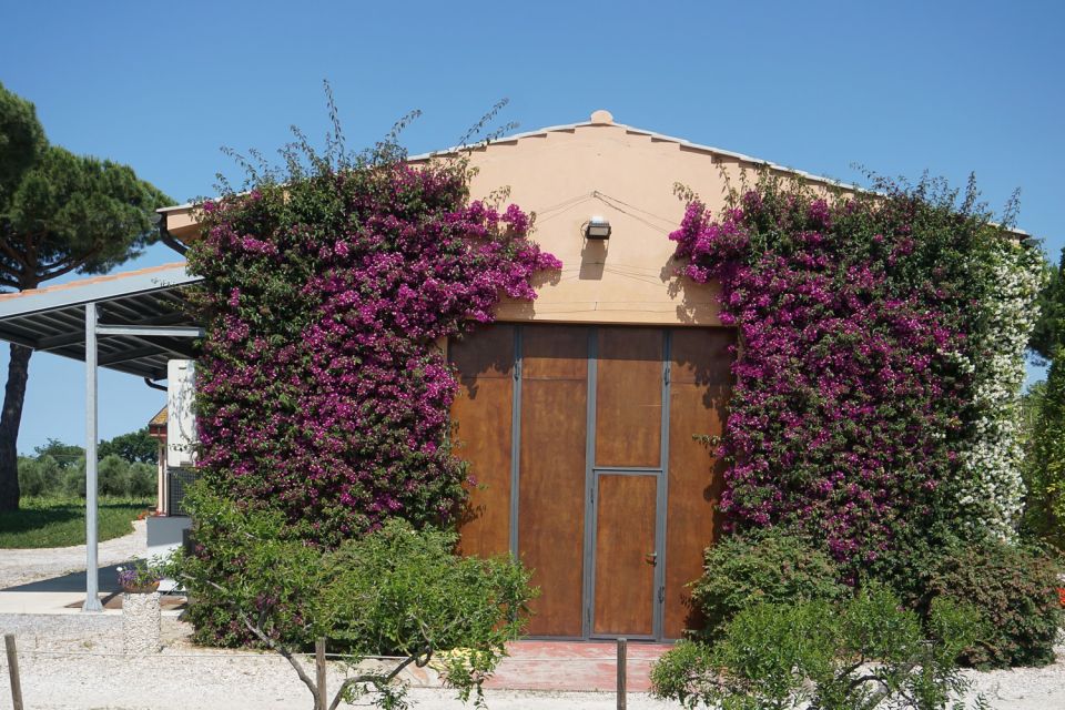 From Florence: Bolgheri Full Day Wine Tour - Important Information