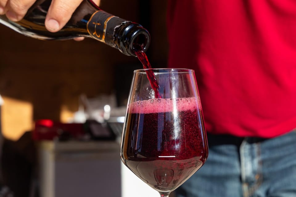From Florence: Bologna Culinary Day Trip with Local Tastings - A Light, Flavorful Lunch