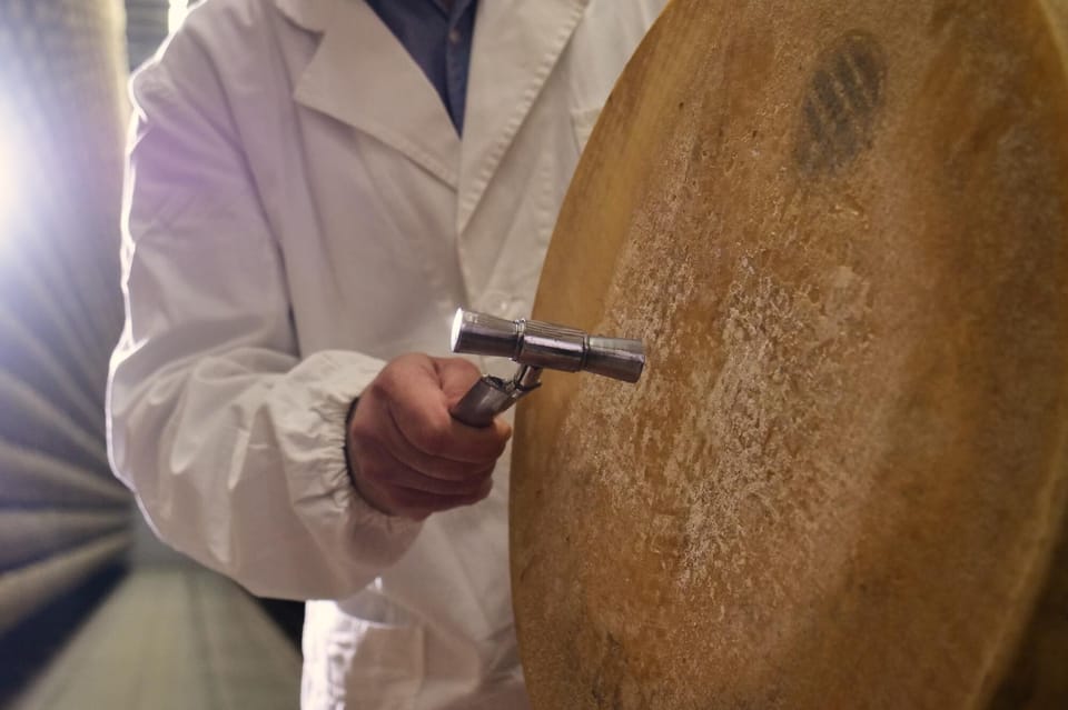 From Florence: Bologna Culinary Day Trip with Local Tastings - What’s Included & What’s Not