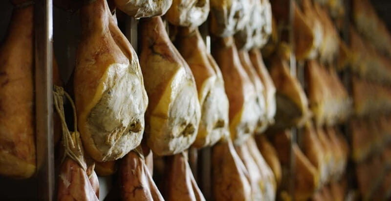 From Florence: Bologna Food Day Trip with Local Tastings - FAQ