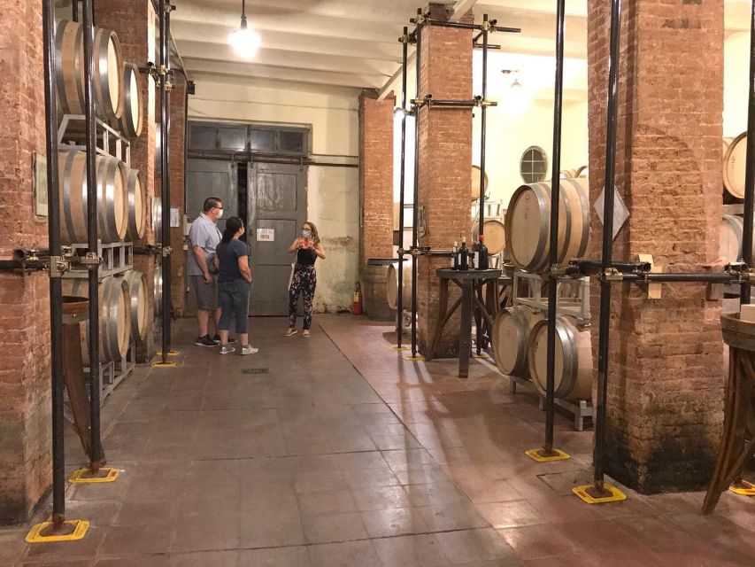 From Florence: Carmignano Half-Day Wine and Food Tour - Fattoria E Cantina Di Bacchereto