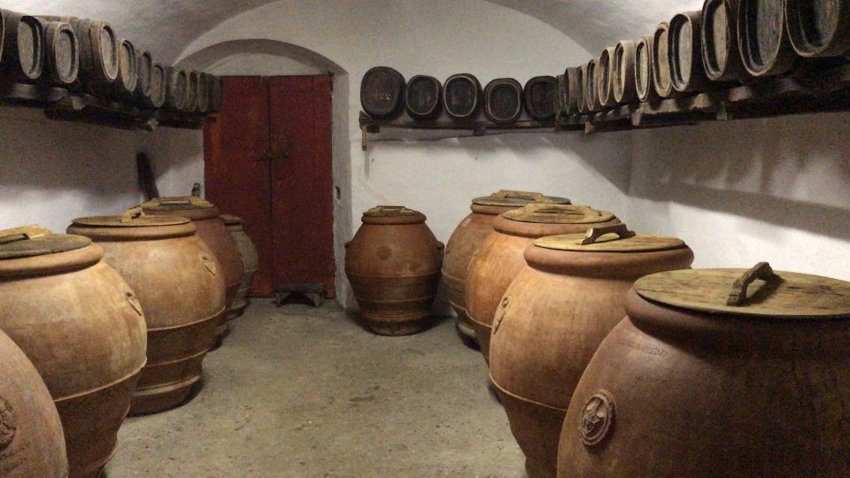 From Florence: Carmignano Half-Day Wine and Food Tour - Transportation and Accessibility