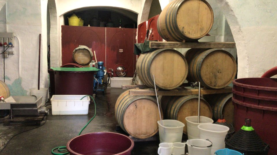 From Florence: Carmignano Half-Day Wine and Food Tour - Booking and Cancellation Policy