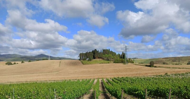 From Florence: Chianti afternoon tour & visit to 2 wineries - The Scenery and the Experience