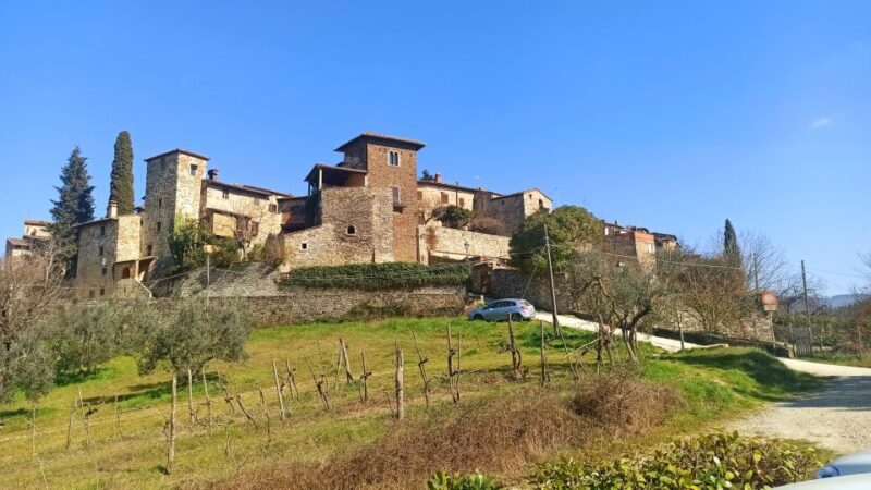 From Florence: Chianti afternoon tour & visit to 2 wineries - How the Tour Suits Different Types of Travelers
