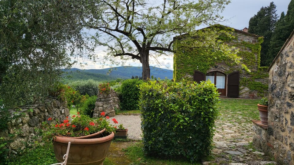 From Florence: Chianti Half-Day Afternoon Tour - Tour Overview