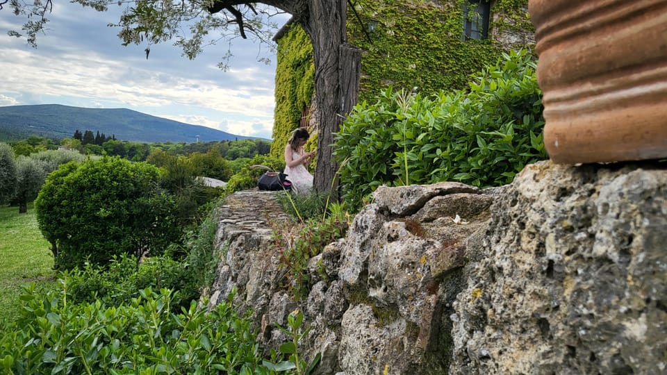 From Florence: Chianti Half-Day Afternoon Tour - Accessibility and Meeting Instructions