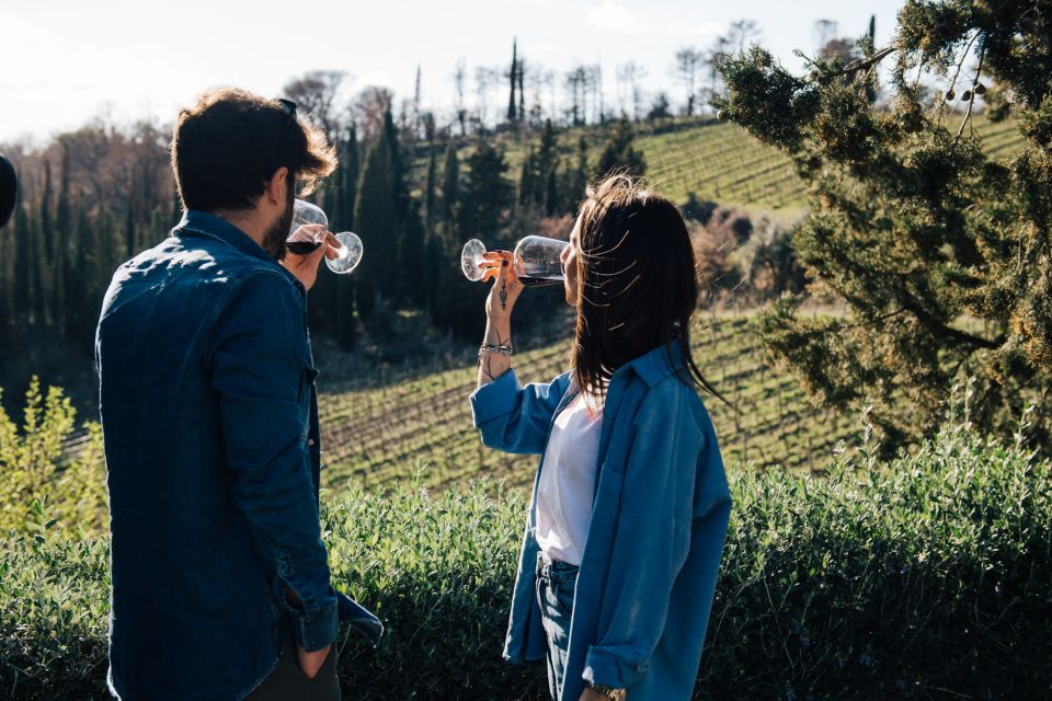 From Florence: Chianti Hills Half-Day Tour With Wine Tasting - Key Points