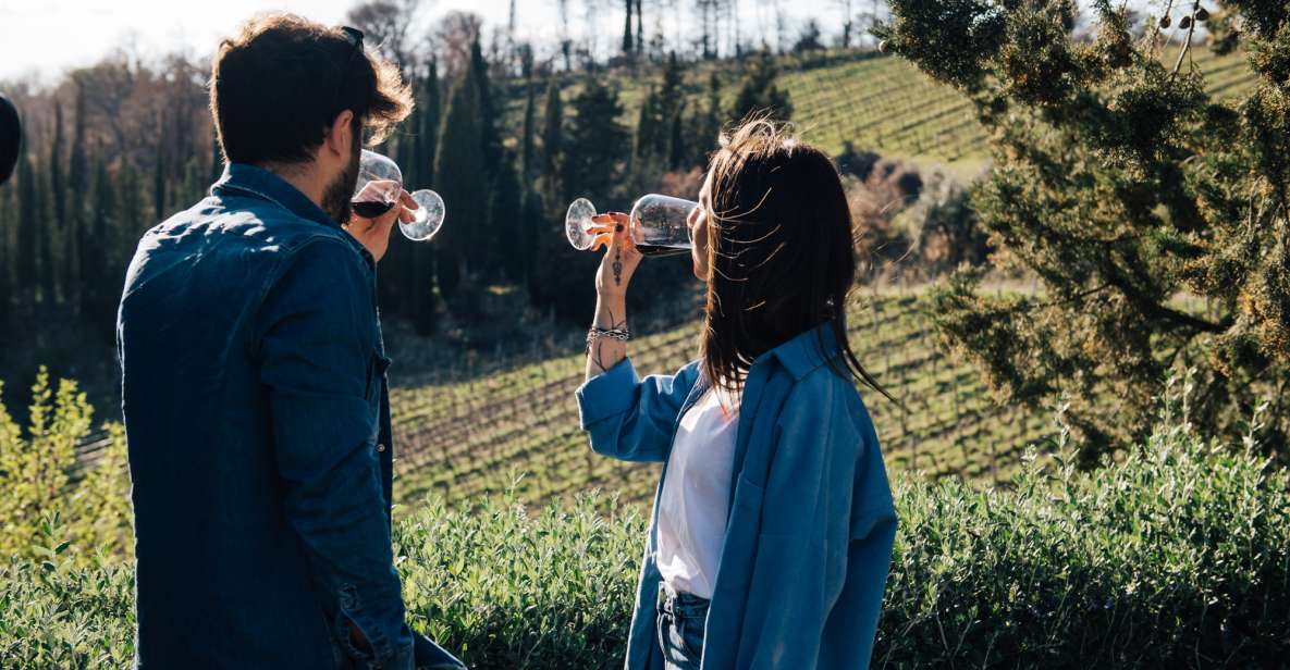 From Florence: Chianti Hills Half-Day Tour With Wine Tasting - Tour Overview and Details