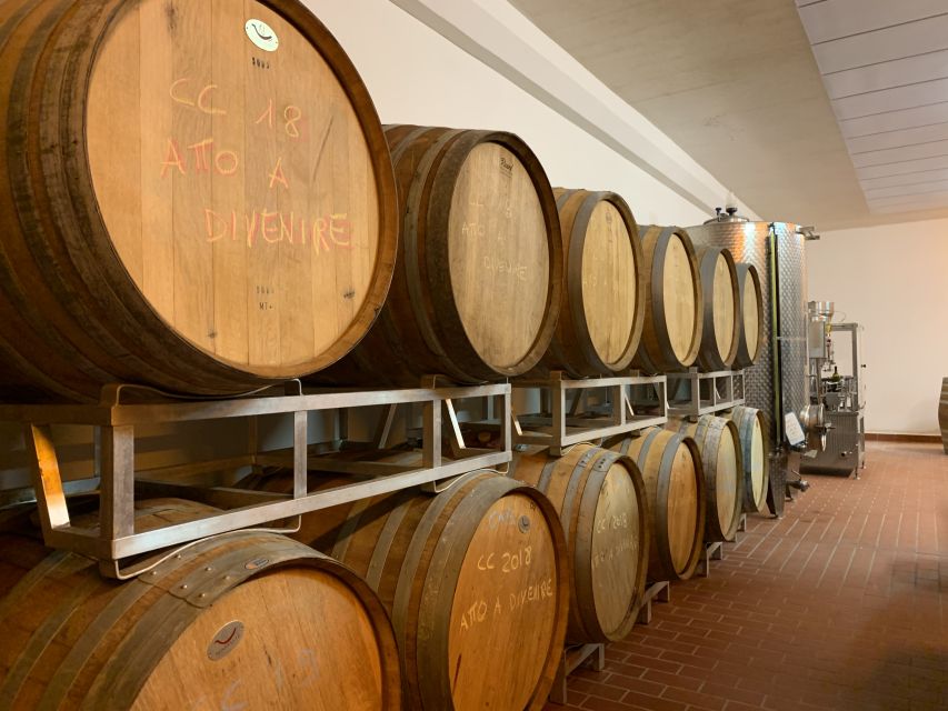 From Florence: Chianti Hills Half-Day Tour With Wine Tasting - Customer Experience and Reviews