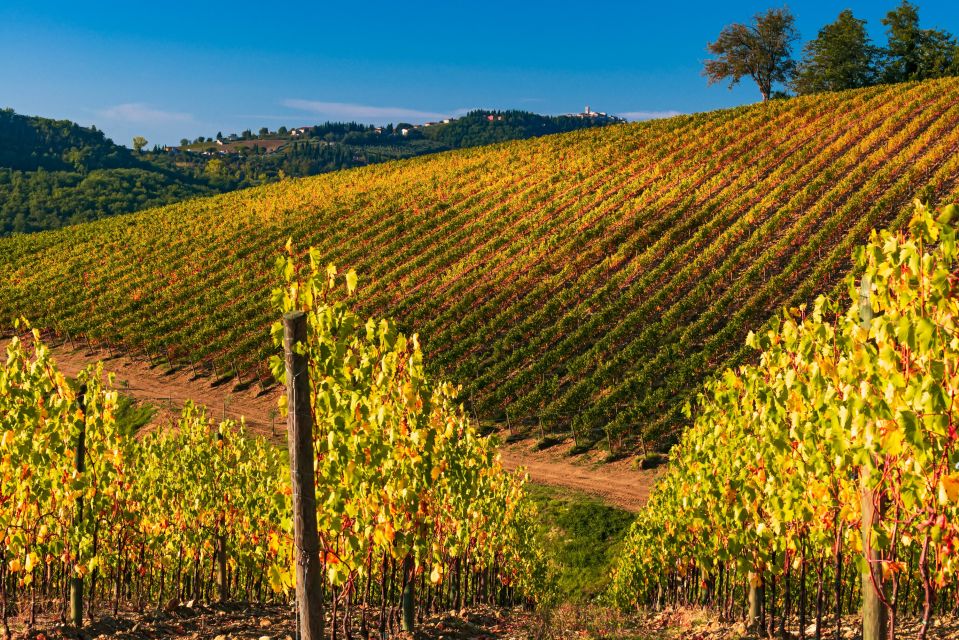 From Florence: Chianti Hills Half-Day Tour With Wine Tasting - Important Information