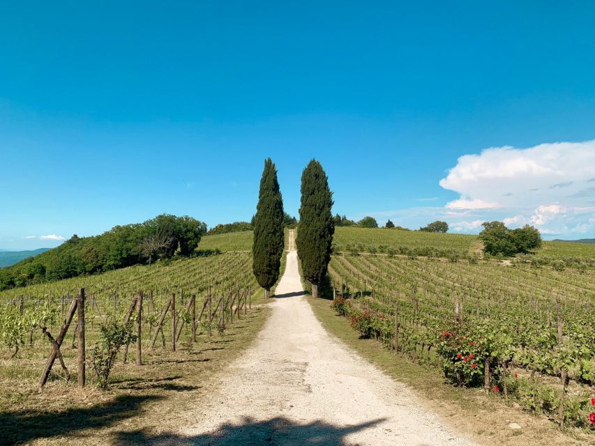 From Florence: Chianti Hills Wineries Tour With Tasting - Meeting Point