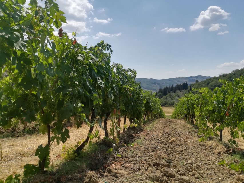 From Florence: Chianti Self-Guided Vespa Tour With Lunch - Frequently Asked Questions