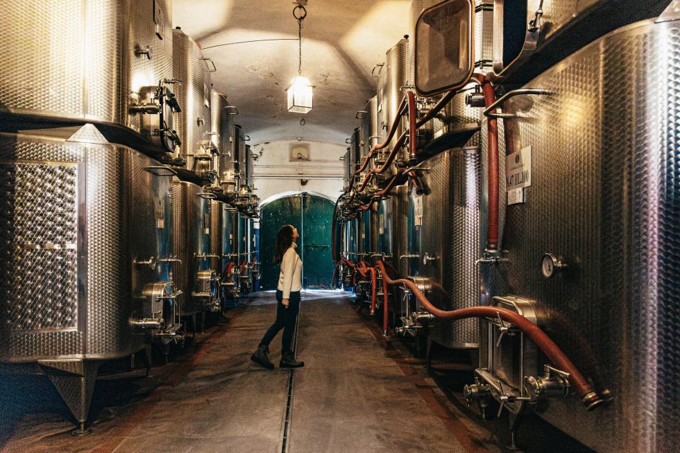 From Florence: Chianti Wine and Food Tasting Safari - Transportation and Guide