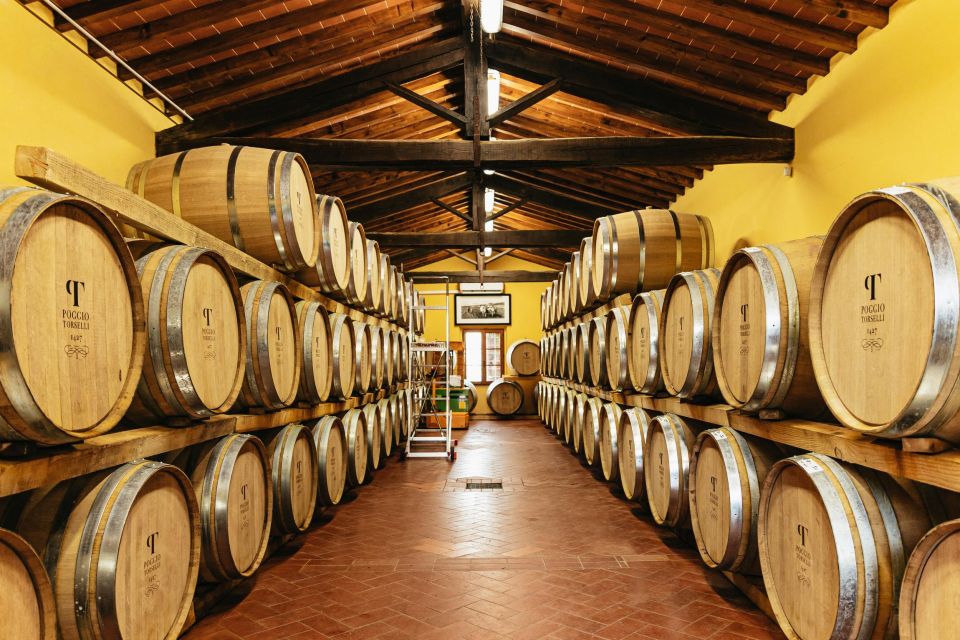 From Florence: Chianti Wine and Food Tasting Safari - Chianti Winemaking Heritage