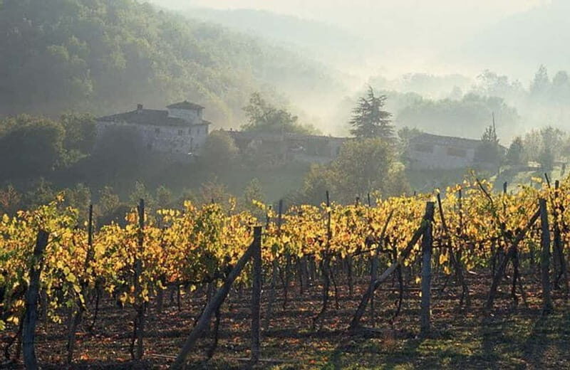 From Florence: Chianti Wine Tour with Driver-Guide - Key Points
