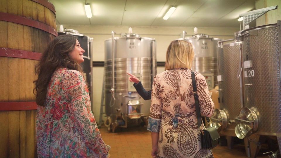 From Florence: Chianti Wine Tour With Tastings - Customer Reviews