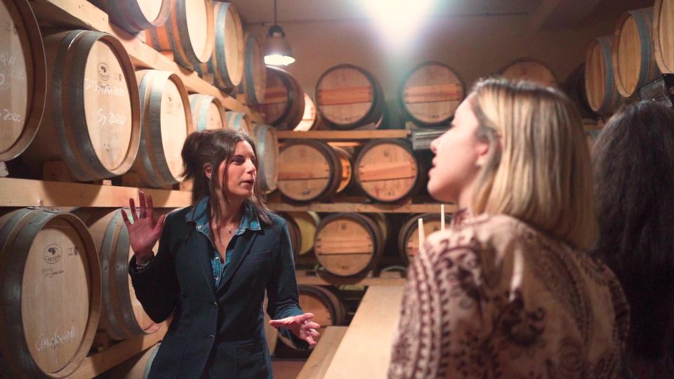 From Florence: Chianti Wine Tour With Tastings - Tips for Tour Participants