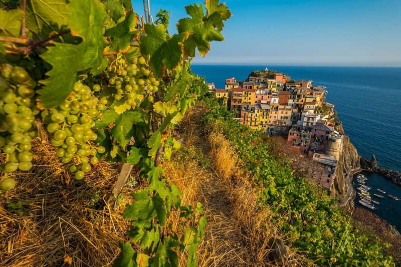 From Florence: Cinque Terre Day Trip with Local Guide - FAQ