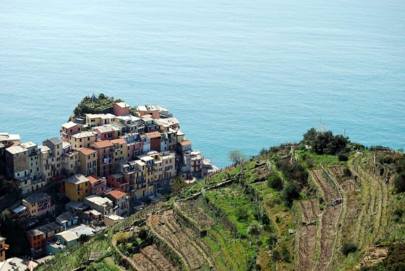 From Florence: Cinque Terre Day Trip with Local Guide - A Scenic Walk and a Taste of Vineyards