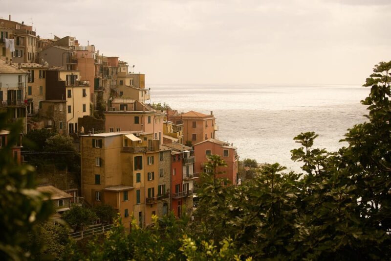 From Florence: Cinque Terre Day Trip with Local Guide - Challenges and Considerations