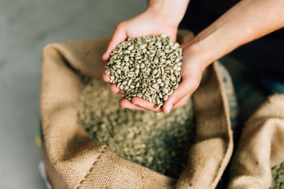 From Florence: Coffee Experience Small Group Tour in Tuscany - Insights Into Coffee Production