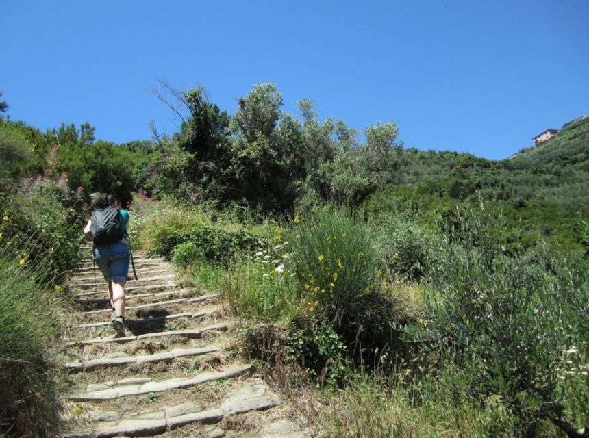 From Florence: Day Trip to Cinque Terre - Key Points