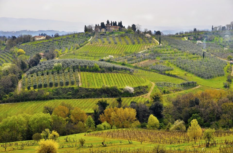 From Florence: Day Trip to Pisa, Siena & San Gimignano With Lunch - Guided Tour of Siena