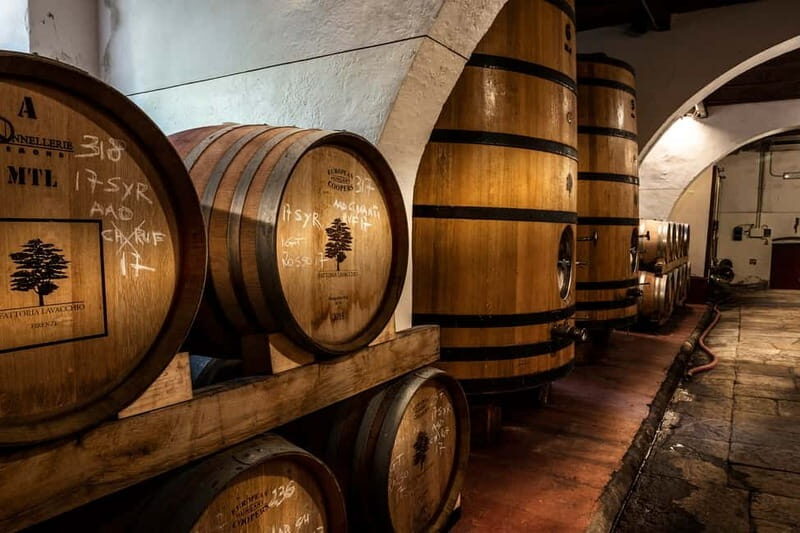 From Florence: Horse Ride and Wine Tour at Estate with Lunch - Practical Tips and Considerations