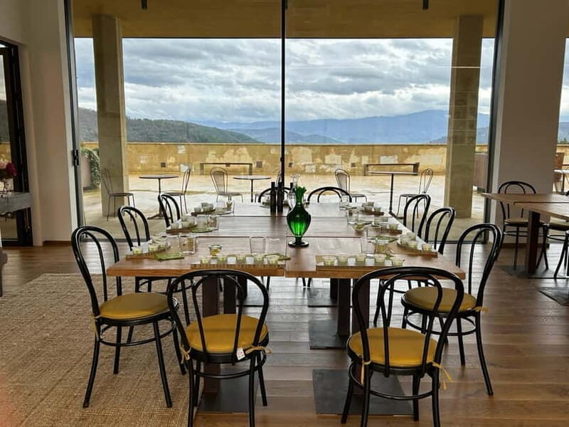From Florence: Olive Oil Mill Tour and Tasting in Fiesole - Why the Modern Mill Matters
