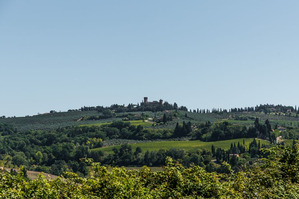From Florence: Private Castles Day Trip With Food and Wine - Capturing Scenic Landscapes
