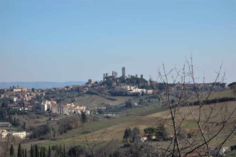 From Florence: San Gimignano & Vernaccia Wine Tour - Key Points