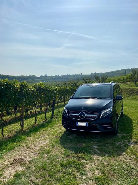 From Florence: Siena, San Gimignano, Pisa With Transfer - Highlights in Monteriggioni and Siena