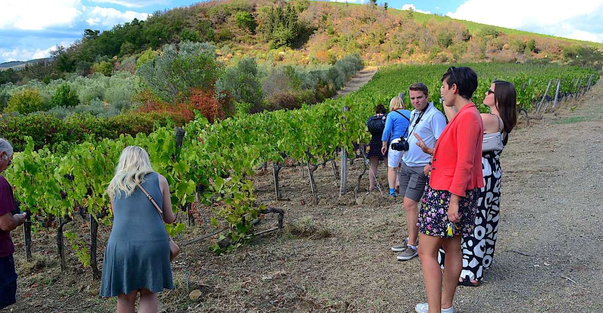 From Florence: Small-Group Chianti Wine Tour - Analyzing the Value