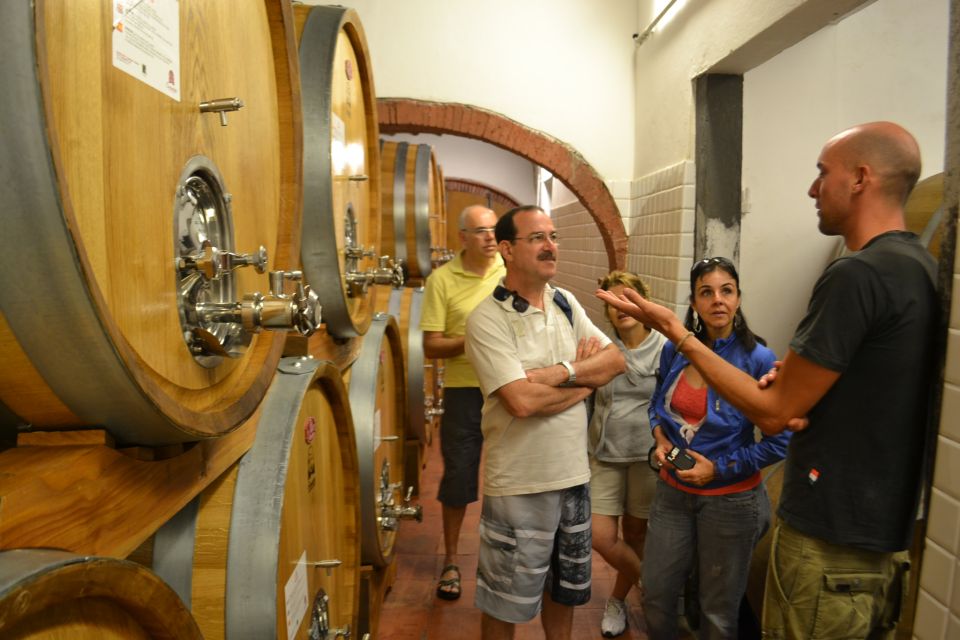 From Florence: Small-Group Chianti Wine Tour - Final Thoughts
