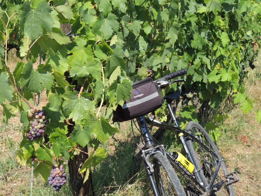 From Florence: Tuscan Hills Biking With Farm Tour and Lunch - Tour Requirements and Practical Details