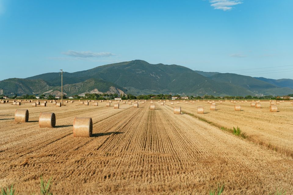 From Florence: Tuscany Day Trip With Lunch at Chianti Winery - Visiting Siena