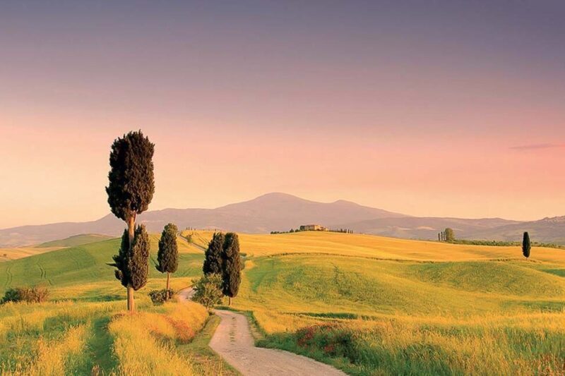 From Florence: Tuscany Hills Wine Tour - Wine Tasting at the First Winery
