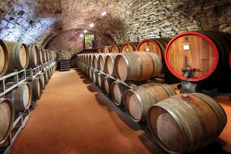 From Florence: Tuscany Wine & Food Tour with Guide - An In-Depth Look at the Tour Experience