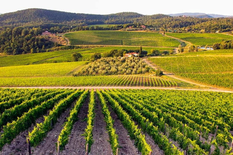 From Florence: Tuscany Wine & Food Tour with Guide - FAQ