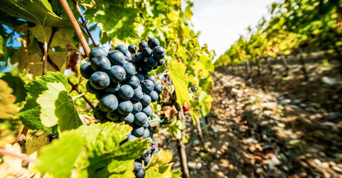 From Florence: Tuscany Wine & Food Tour With Guide - Exclusions