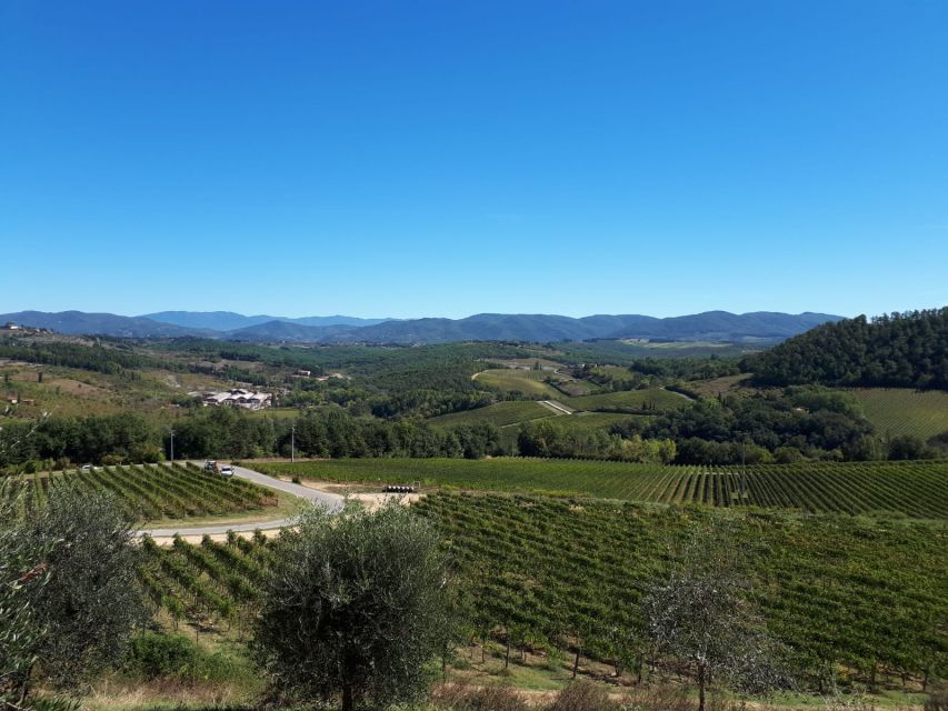 From Florence: Vintage Fiat 500 Chianti & Tuscany Wine Tour - Scenic Views of Florence